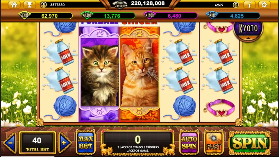 POP Kittens 5x4 reels on Live22 with cartoon cat symbols