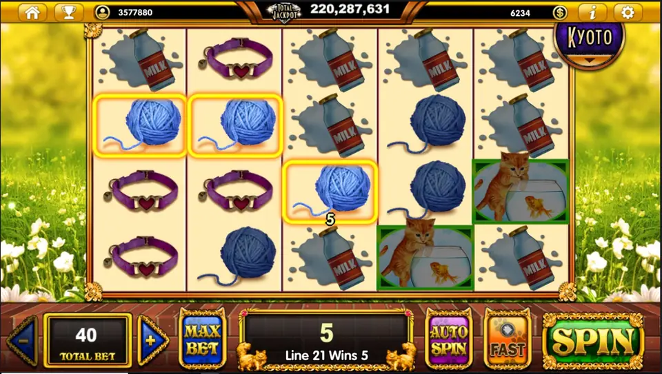 POP Kittens 5x4 reels on Live22 with kittens and wool