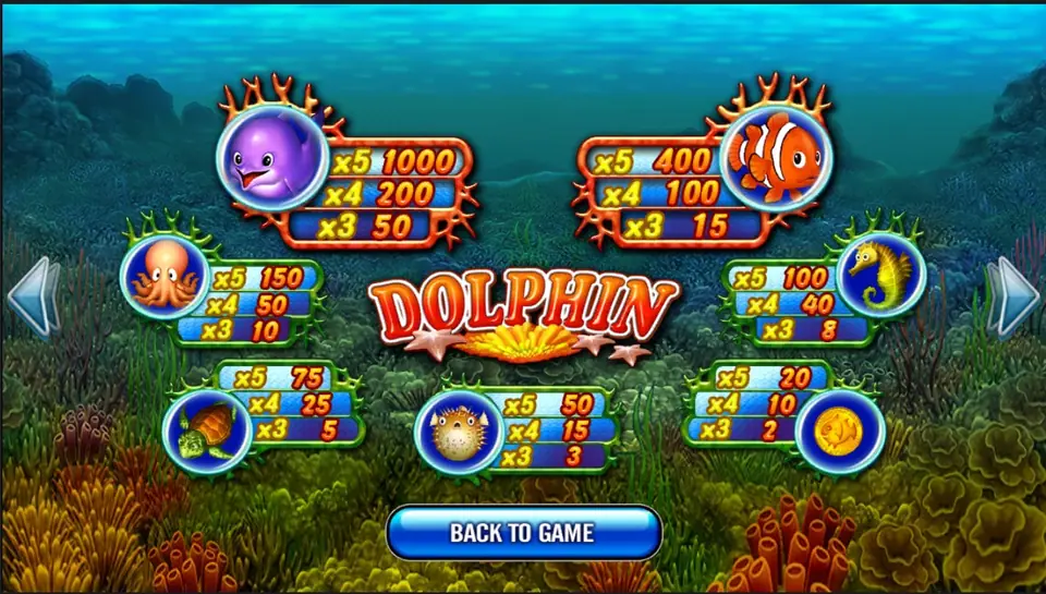 Dolphin gamble screen on Play8oy with a red or black card to guess